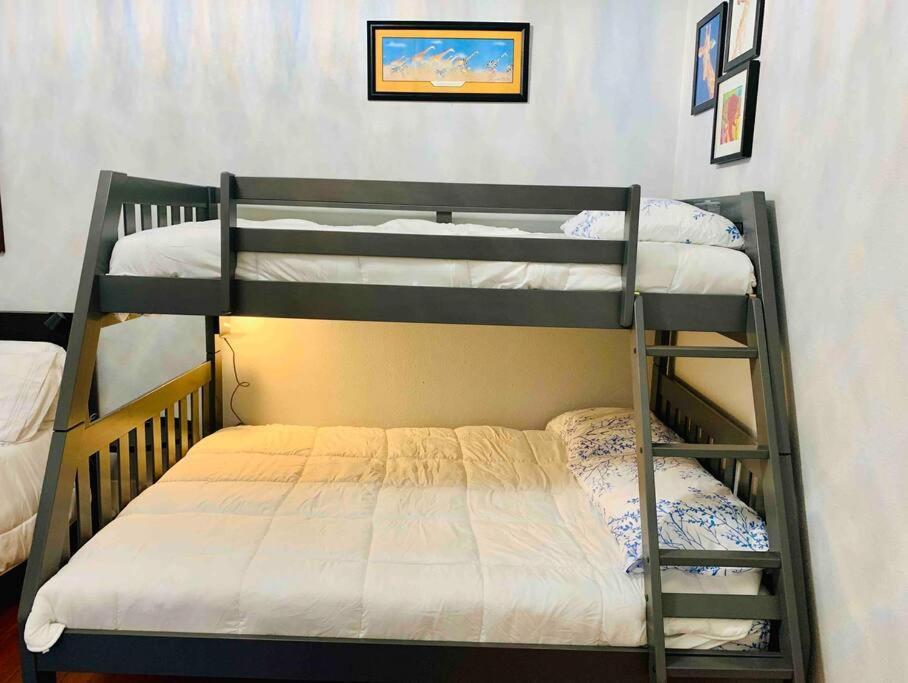 Pershing Place: Historic Home With Heated Spa/Pool By Zoo, Pearl, Golf, Witte 샌안토니오 외부 사진